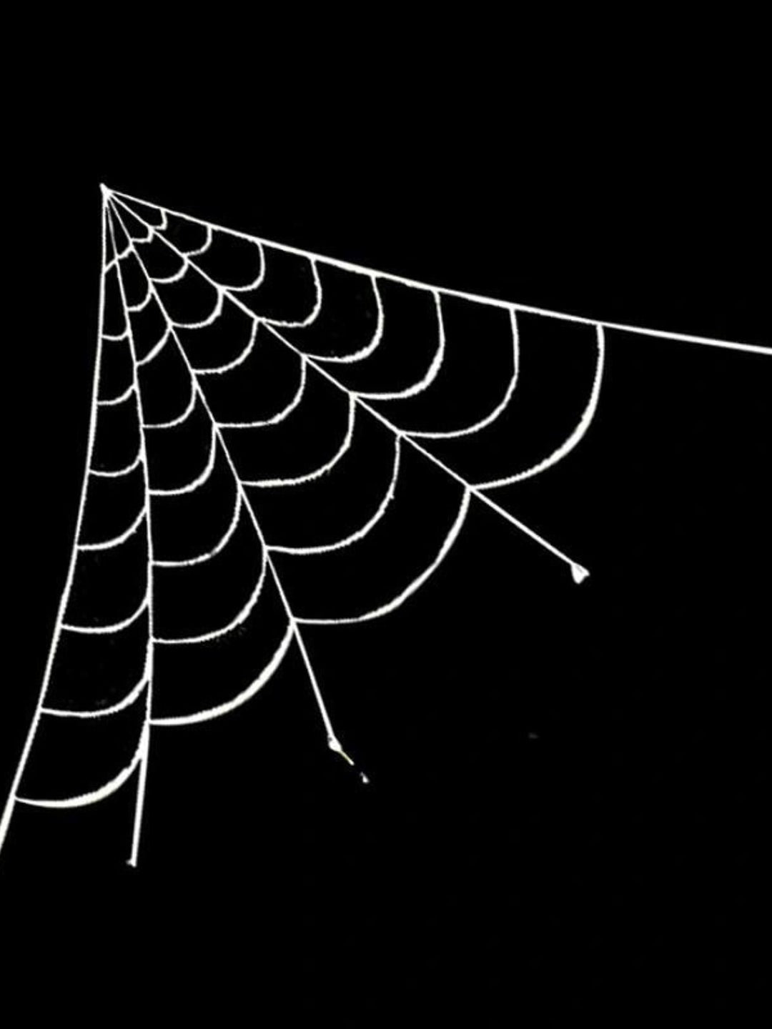 Araignée Géante en Peluche Effrayante et Lumineuse pour Décoration de Fête D'Halloween