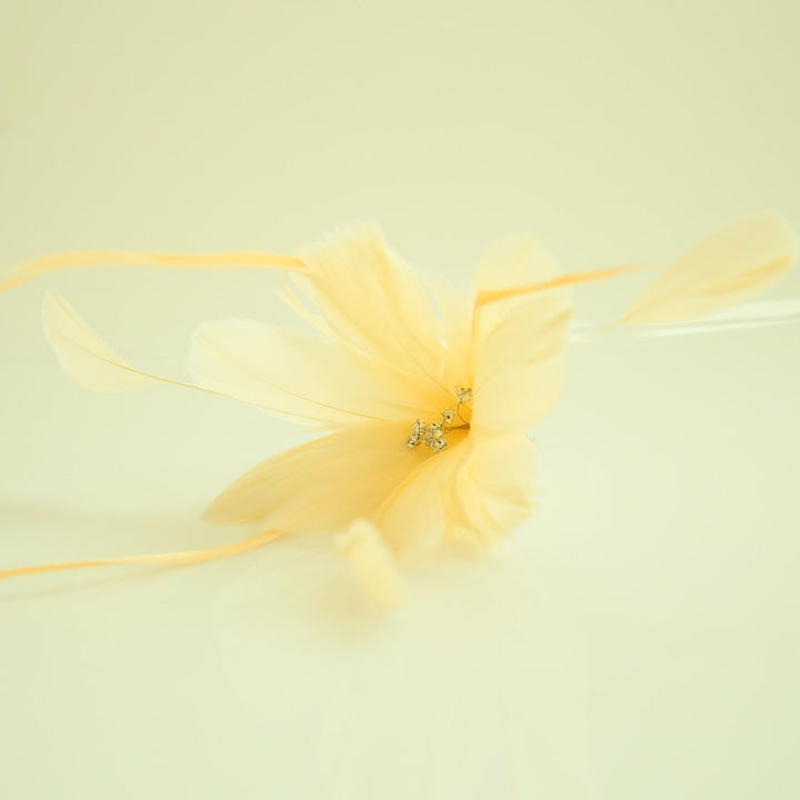 Peignes à Cheveux en Plumes avec Plumes / Mariage / Occasion Spéciale / Coiffe de Course de Chevaux