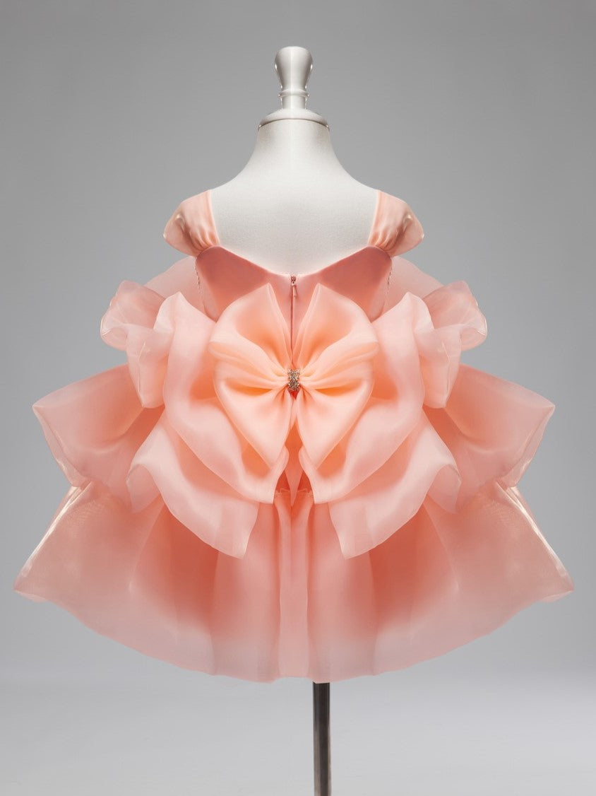 Robe de Fête D'Anniversaire pour Bébé Fille en Organza à Fleurs 3D Jusqu'Aux Genoux