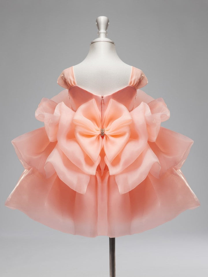 Robe de Fête D'Anniversaire pour Bébé Fille en Organza à Fleurs 3D Jusqu'Aux Genoux