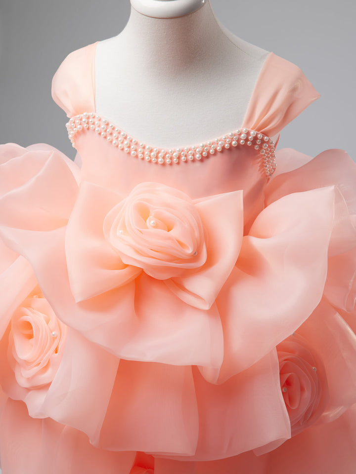 Robe de Fête D'Anniversaire pour Bébé Fille en Organza à Fleurs 3D Jusqu'Aux Genoux