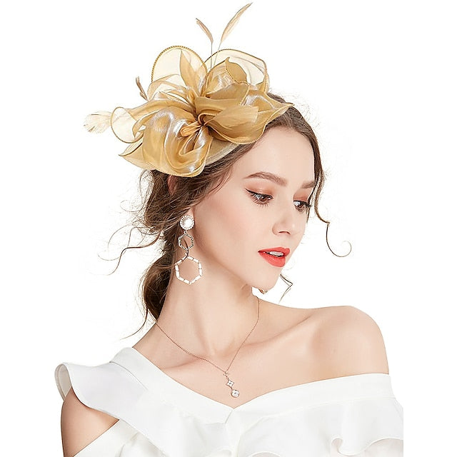 Fascinators Headpiece Tulle Tea Party Horse Race Ladies Day Élégant Rétro avec Plume