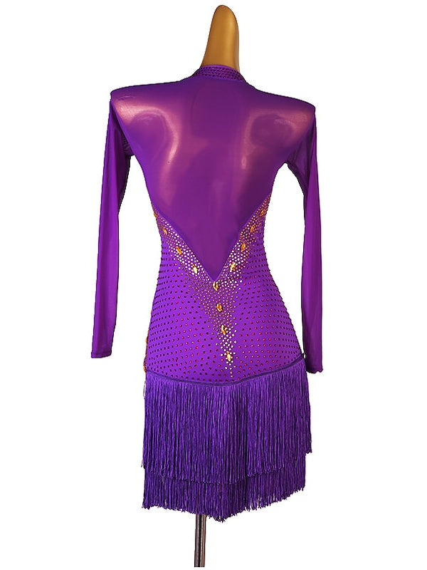 Robe de Danse Latine à Manches Longues avec Pampilles et Cristaux/Strass pour Femme, Tenue de Performance en Maille Chinlon