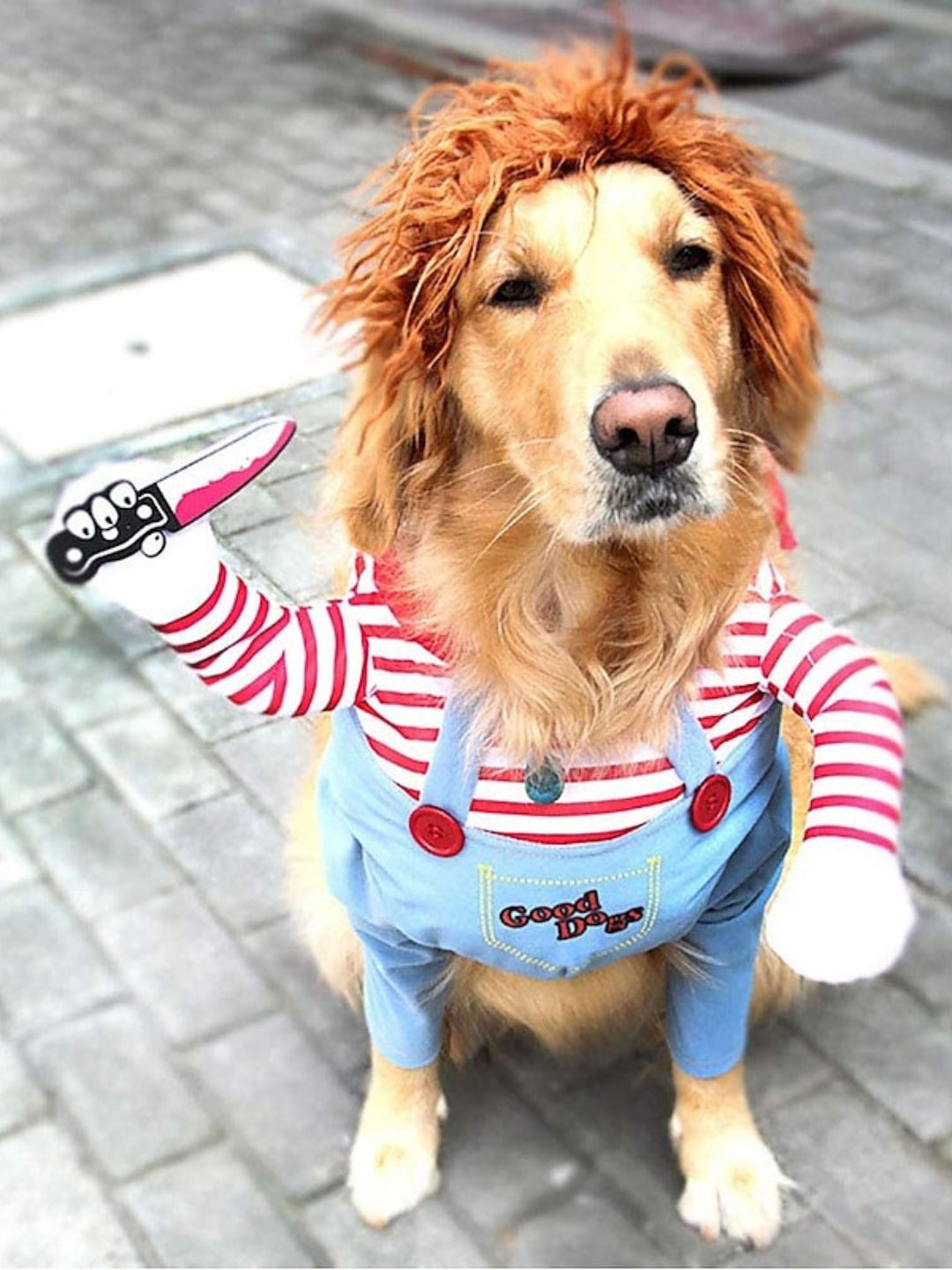 Costume D'Halloween pour Animal de Compagnie, Poupée Mortelle et Mignonne, Chien D'Horreur