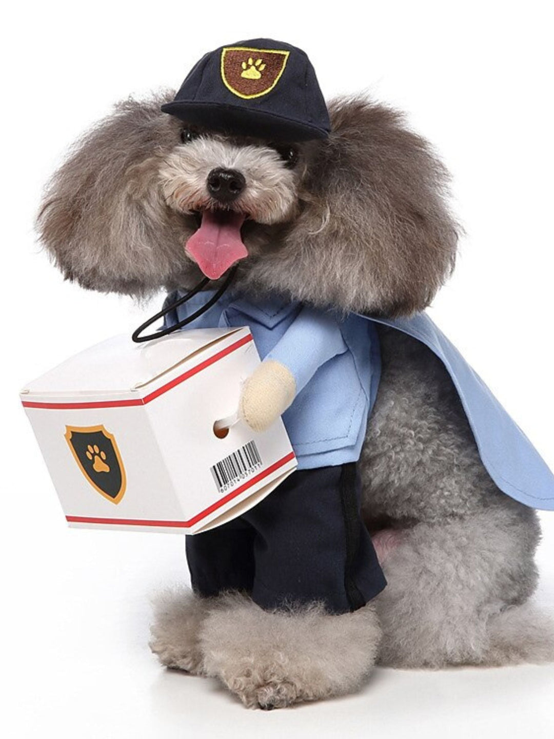 Costume de Panda Mignon pour Chien D'Halloween - Tenue Amusante pour Animal de Compagnie