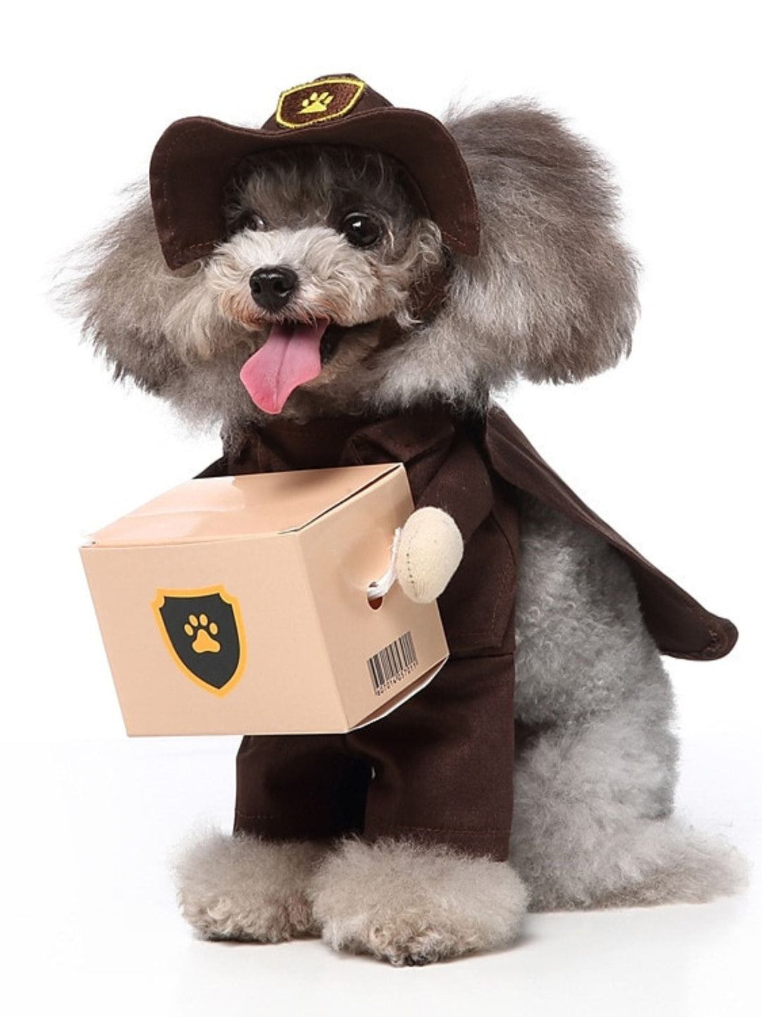 Costume de Panda Mignon pour Chien D'Halloween - Tenue Amusante pour Animal de Compagnie