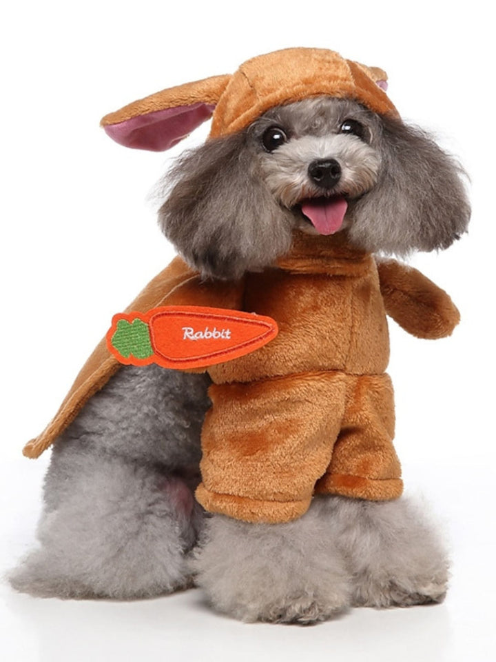 Costume de Panda Mignon pour Chien D'Halloween - Tenue Amusante pour Animal de Compagnie