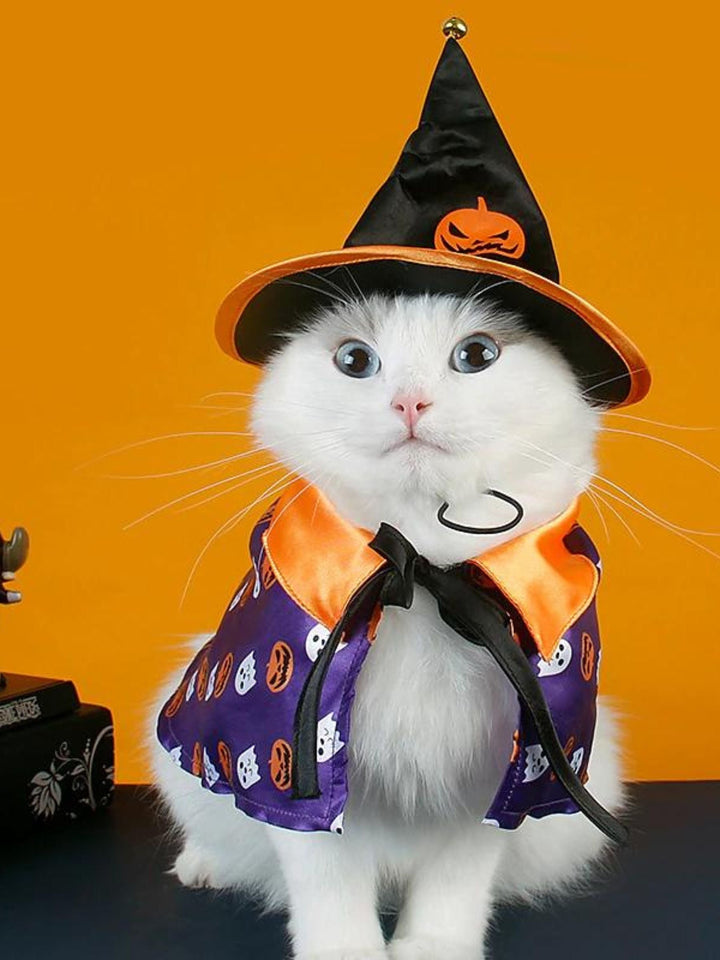 Ensemble de Costume D'Halloween pour Animaux de Compagnie avec Chapeau de Sorcière et Cape Citrouille