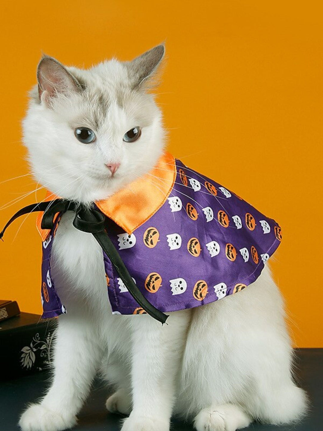 Ensemble de Costume D'Halloween pour Animaux de Compagnie avec Chapeau de Sorcière et Cape Citrouille