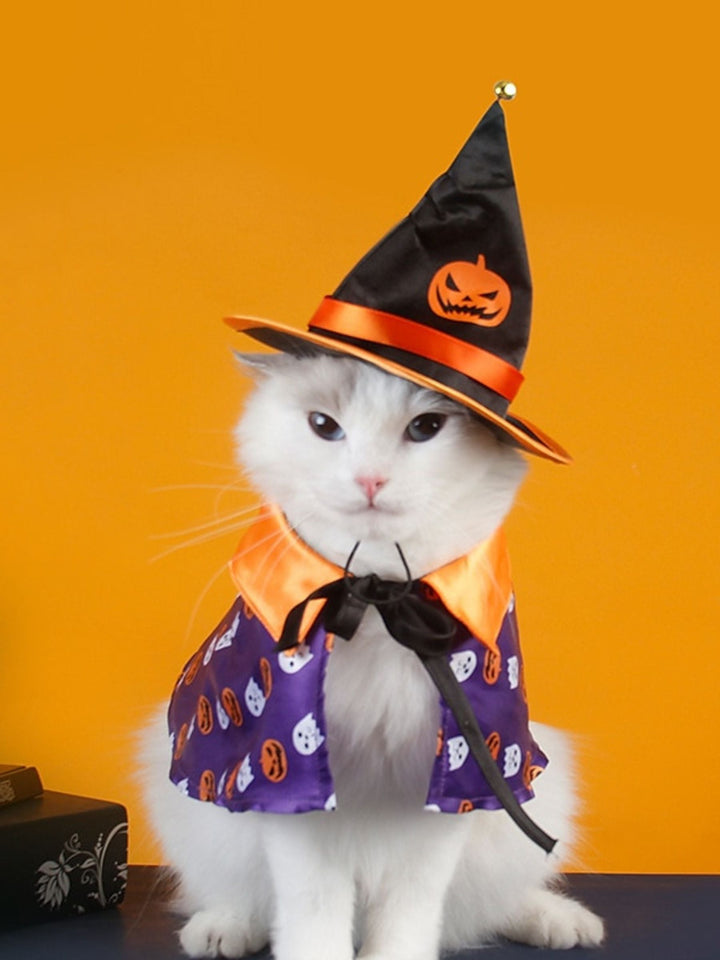 Ensemble de Costume D'Halloween pour Animaux de Compagnie avec Chapeau de Sorcière et Cape Citrouille