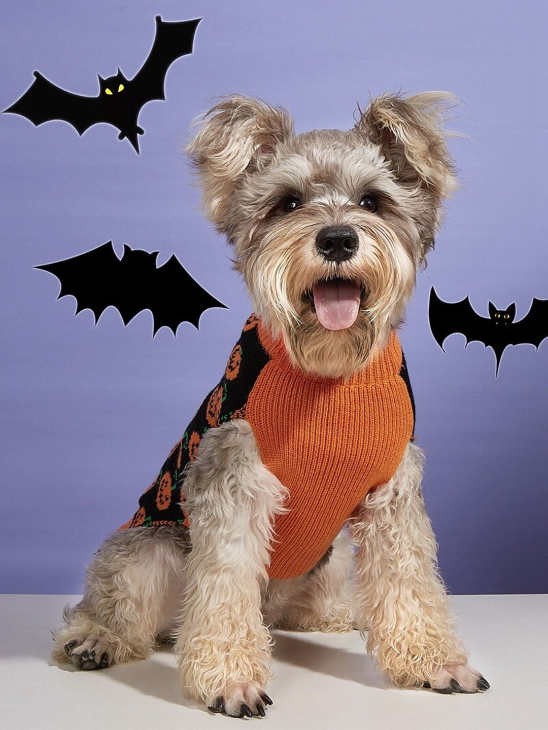 Pull Tricoté Mignon pour Animaux de Compagnie pour Halloween, Costumes Amusants