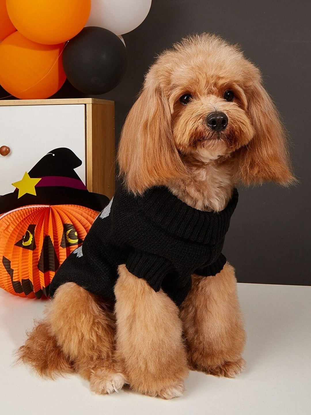 Pull Tricoté Mignon pour Animaux de Compagnie pour Halloween, Costumes Amusants