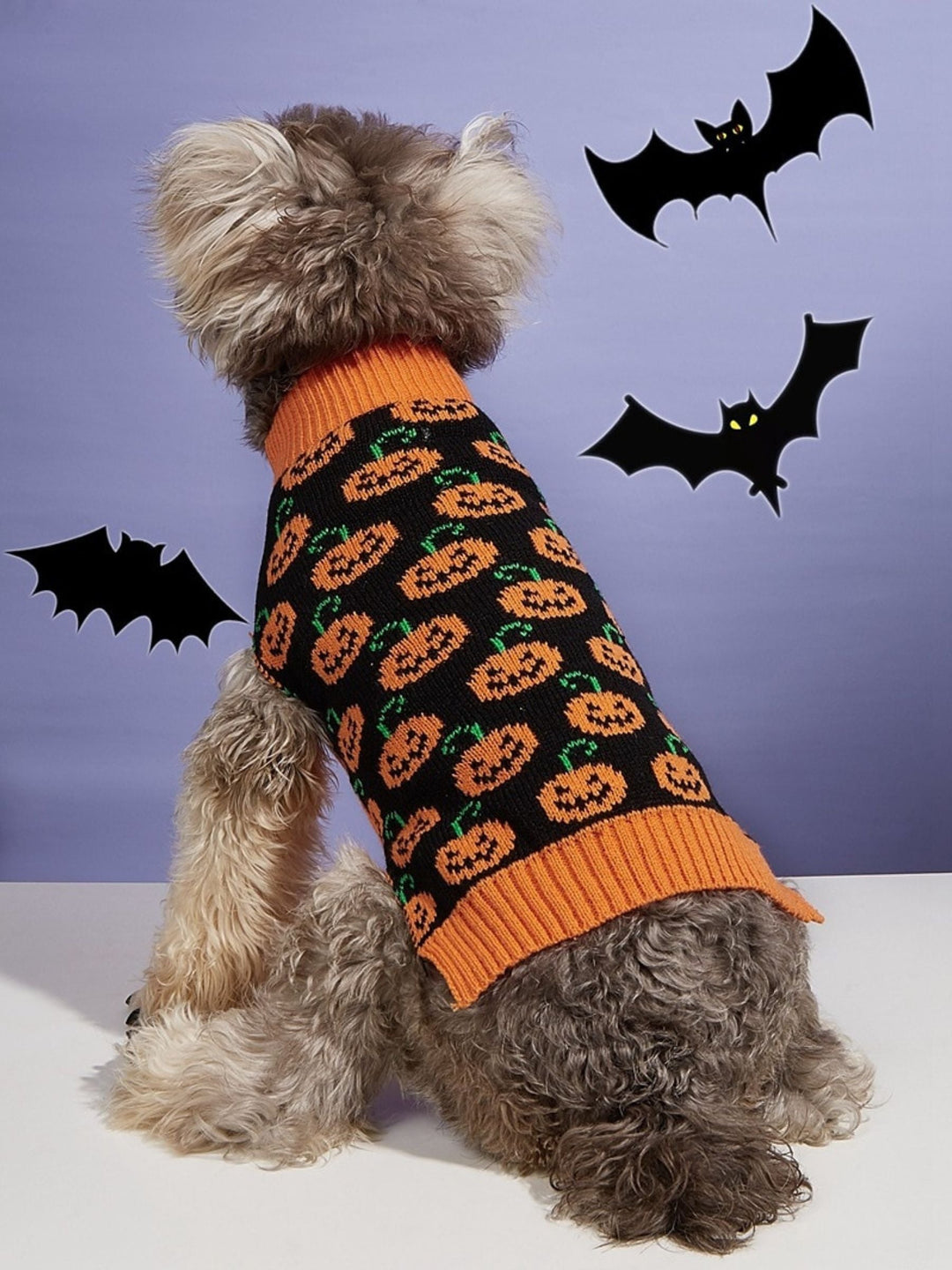 Pull Tricoté Mignon pour Animaux de Compagnie pour Halloween, Costumes Amusants