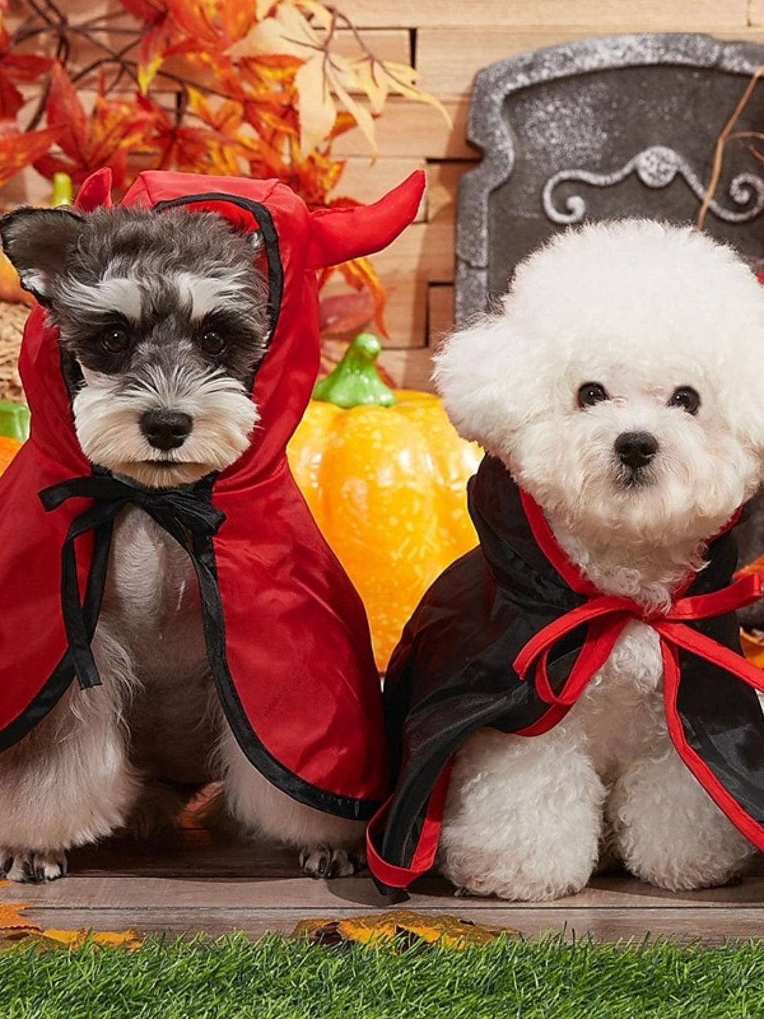 Mini-Manteau de Diable Noir pour Halloween, Décoration pour Animaux de Compagnie