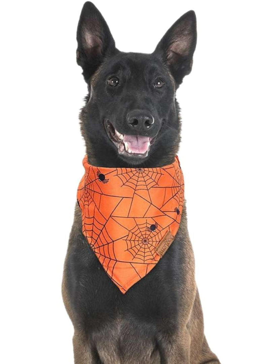 Bandana pour Animal de Compagnie, Mignon, Drôle et Doux, Décoration pour Costume D'Halloween